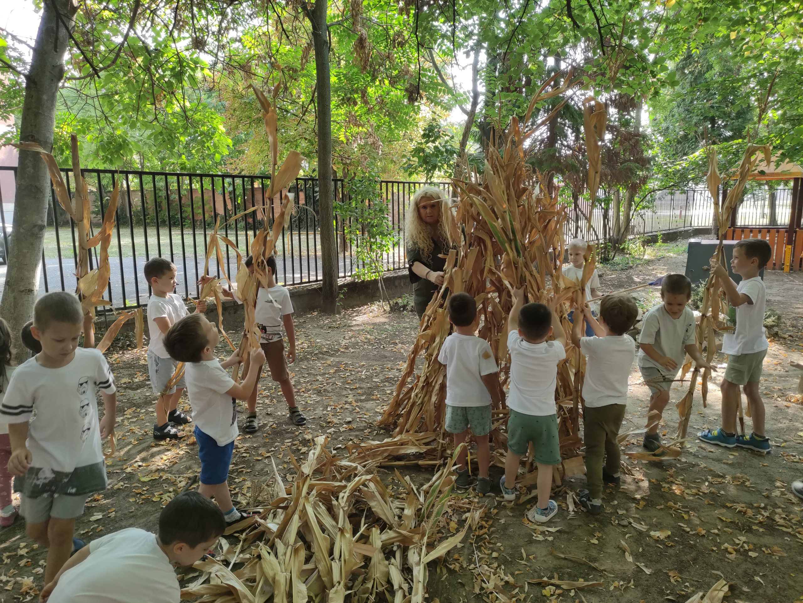 szüretelnek a Klímanócskák (46)