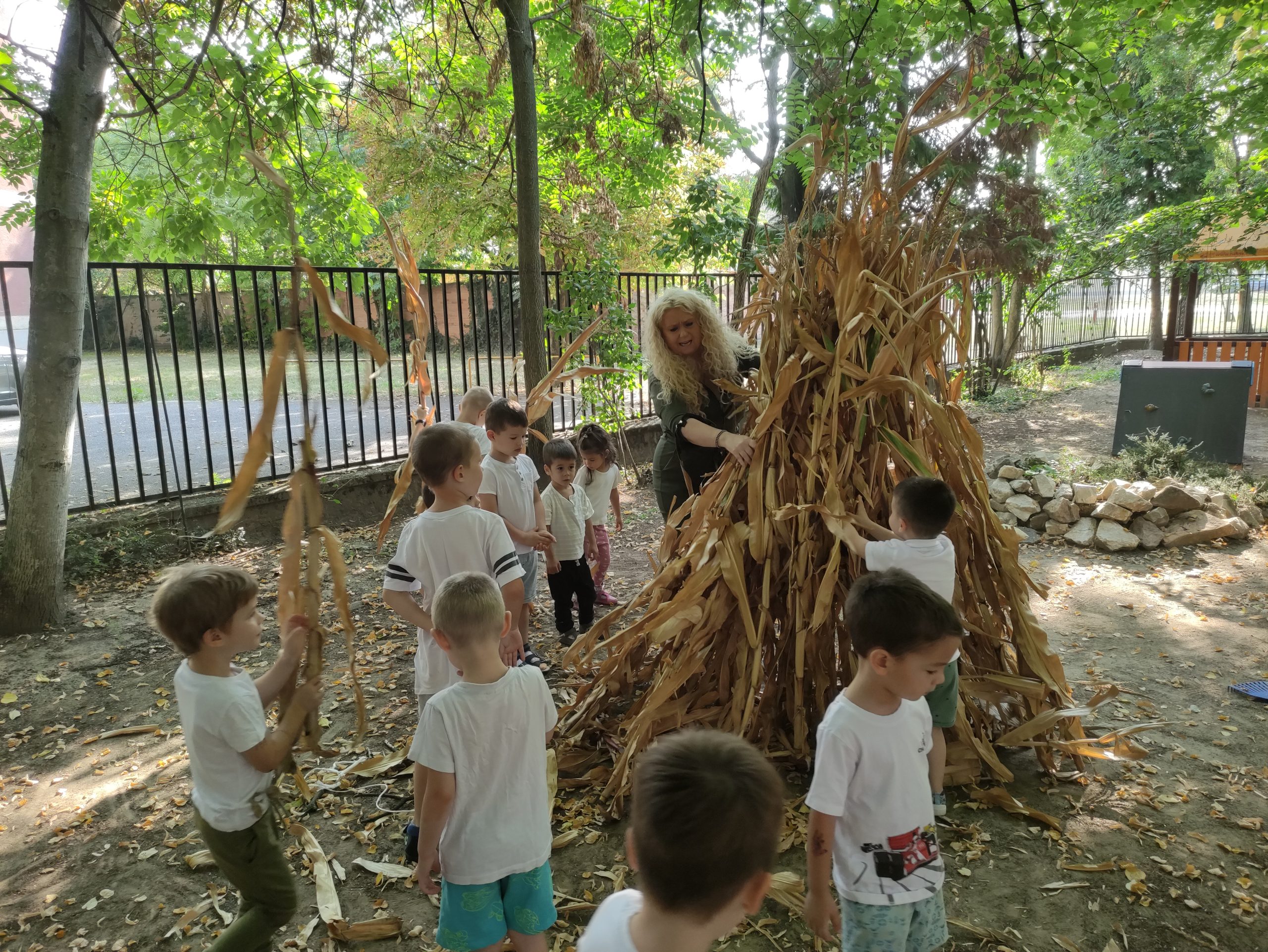 szüretelnek a Klímanócskák (47)