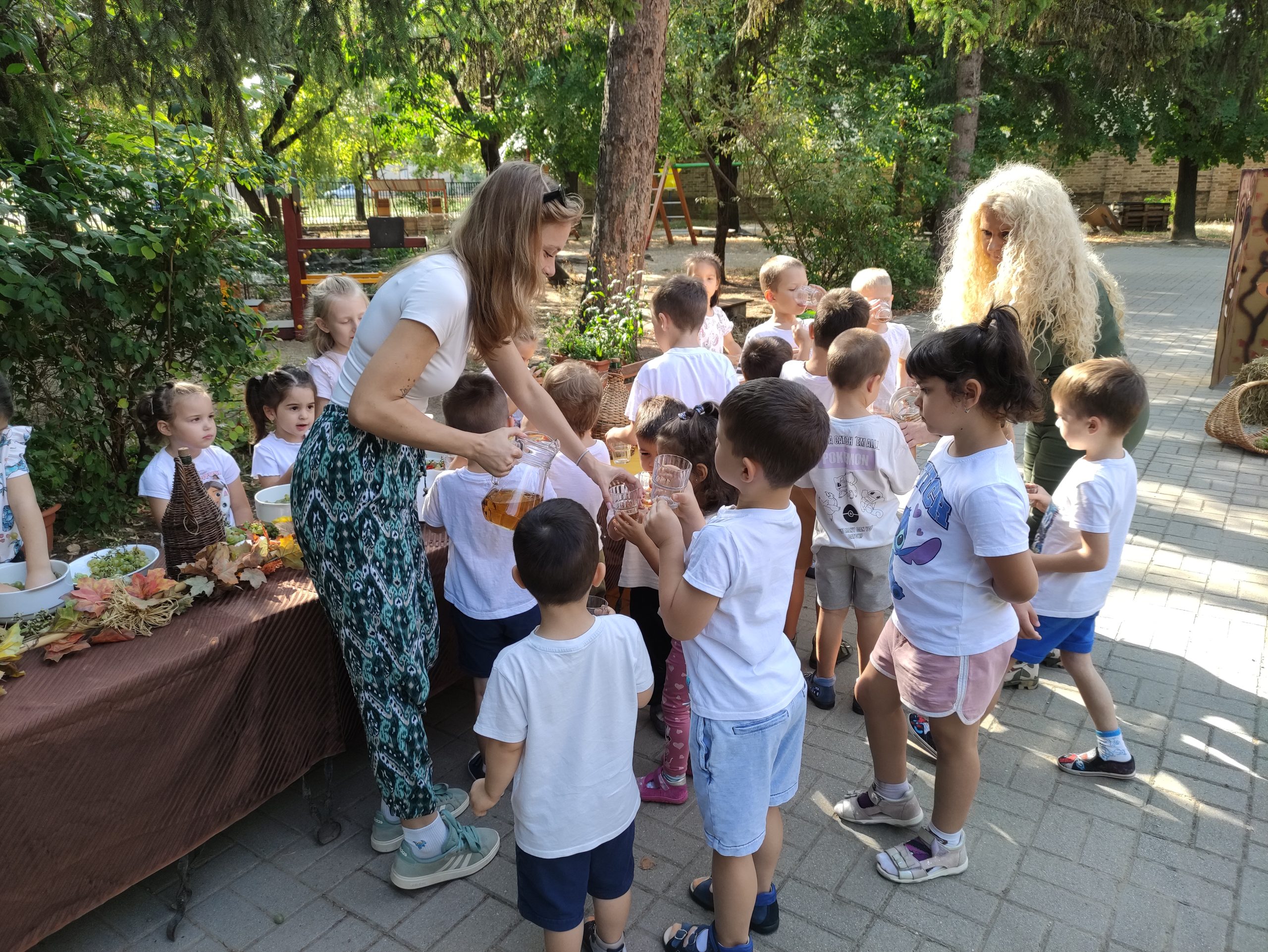 szüretelnek a Klímanócskák (53)