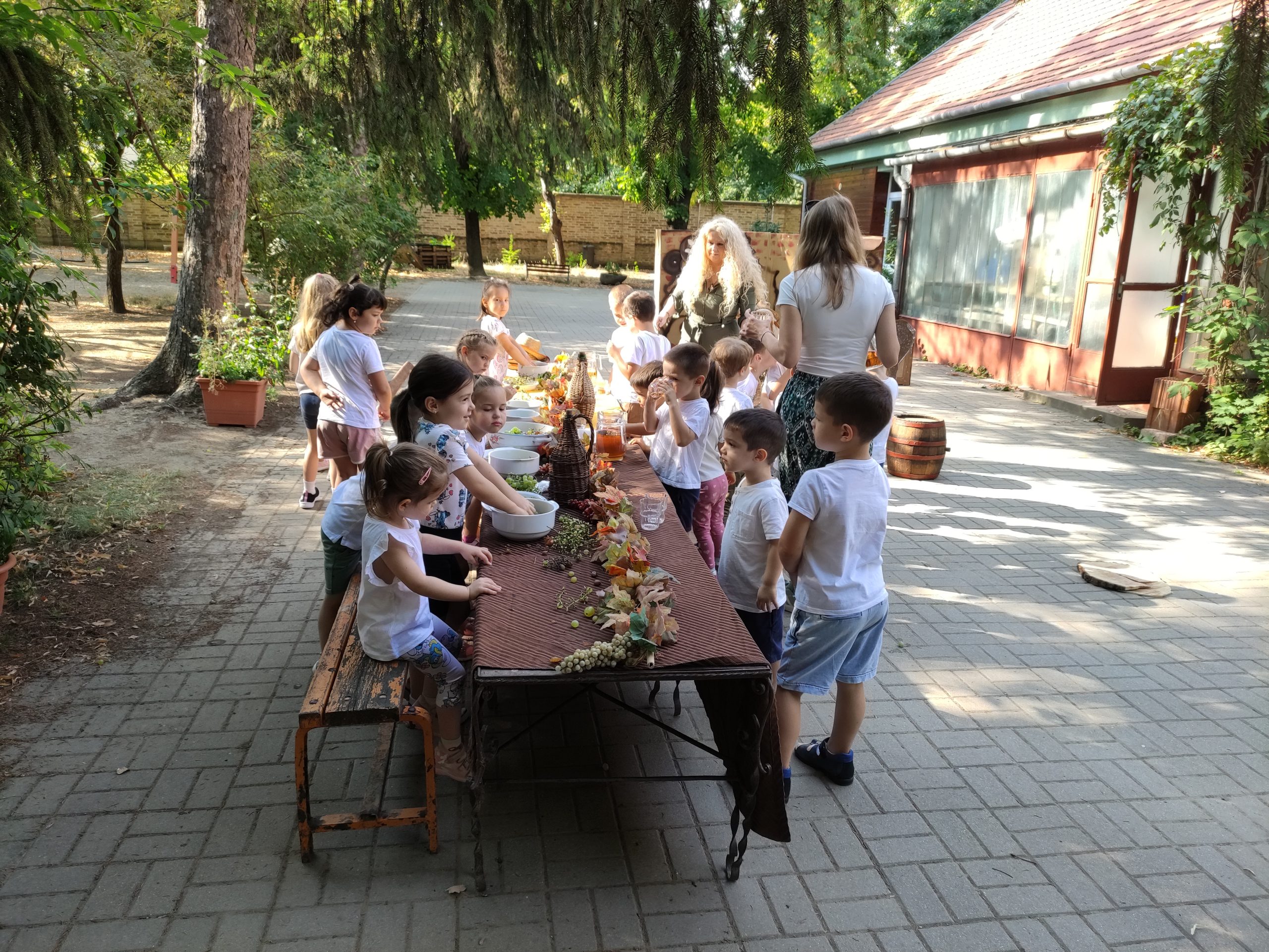 szüretelnek a Klímanócskák (54)