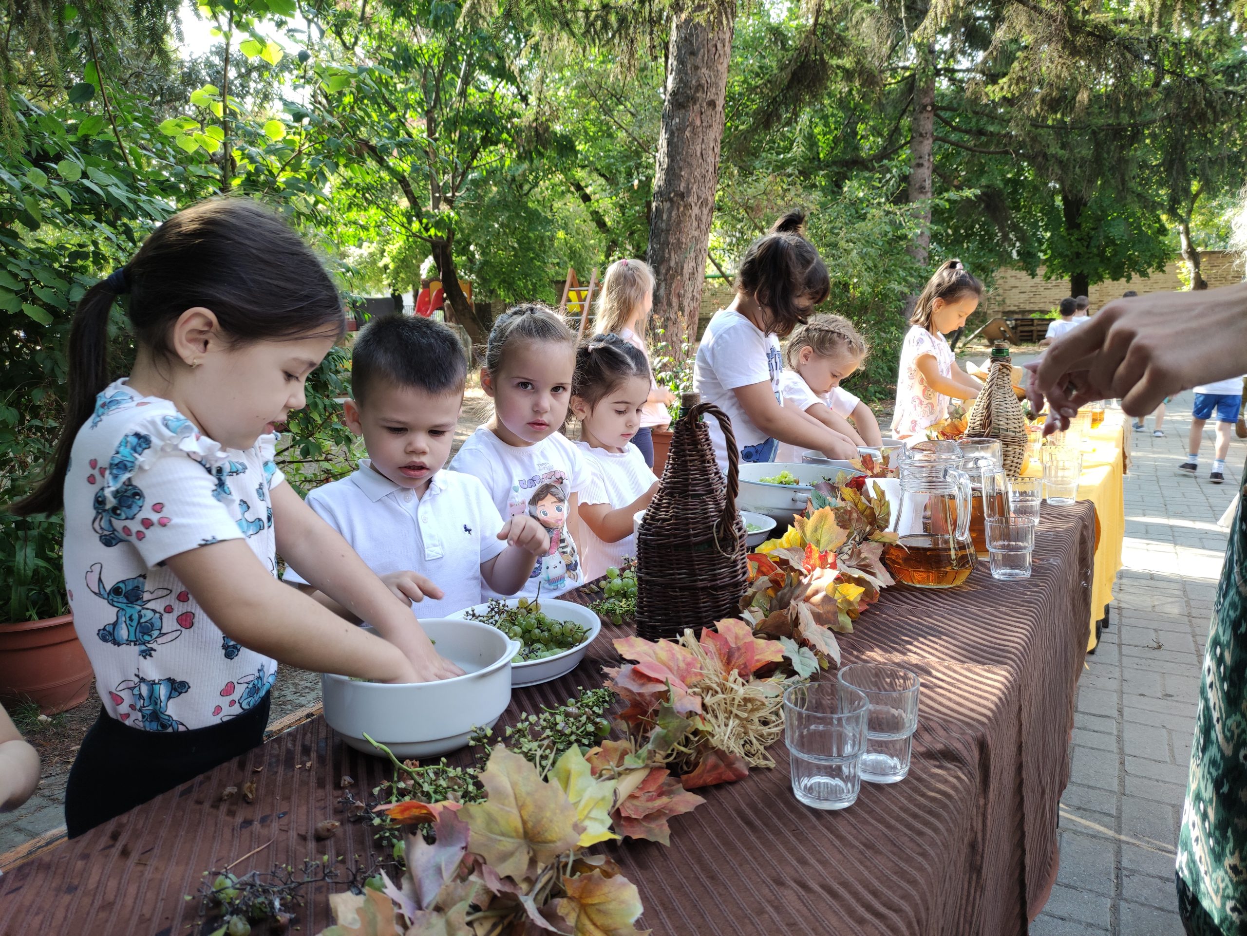 szüretelnek a Klímanócskák (55)