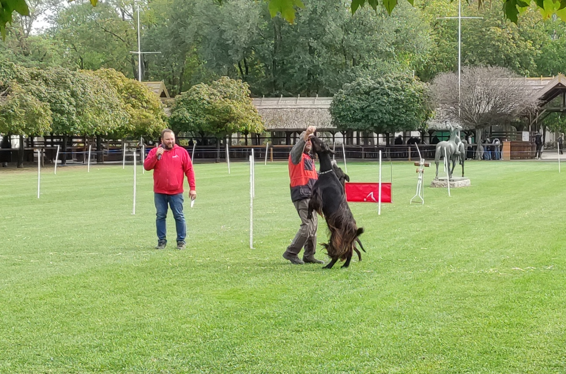 Mezőgazdász diákok vetélkedője (5)