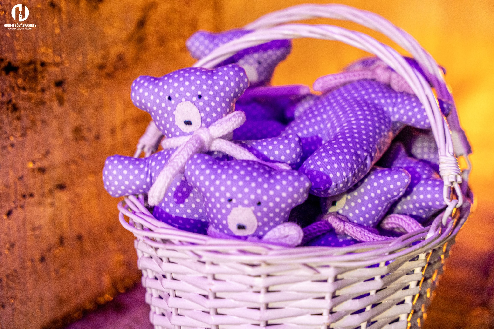 584012261_1196378909304527_7385043056047484780_n