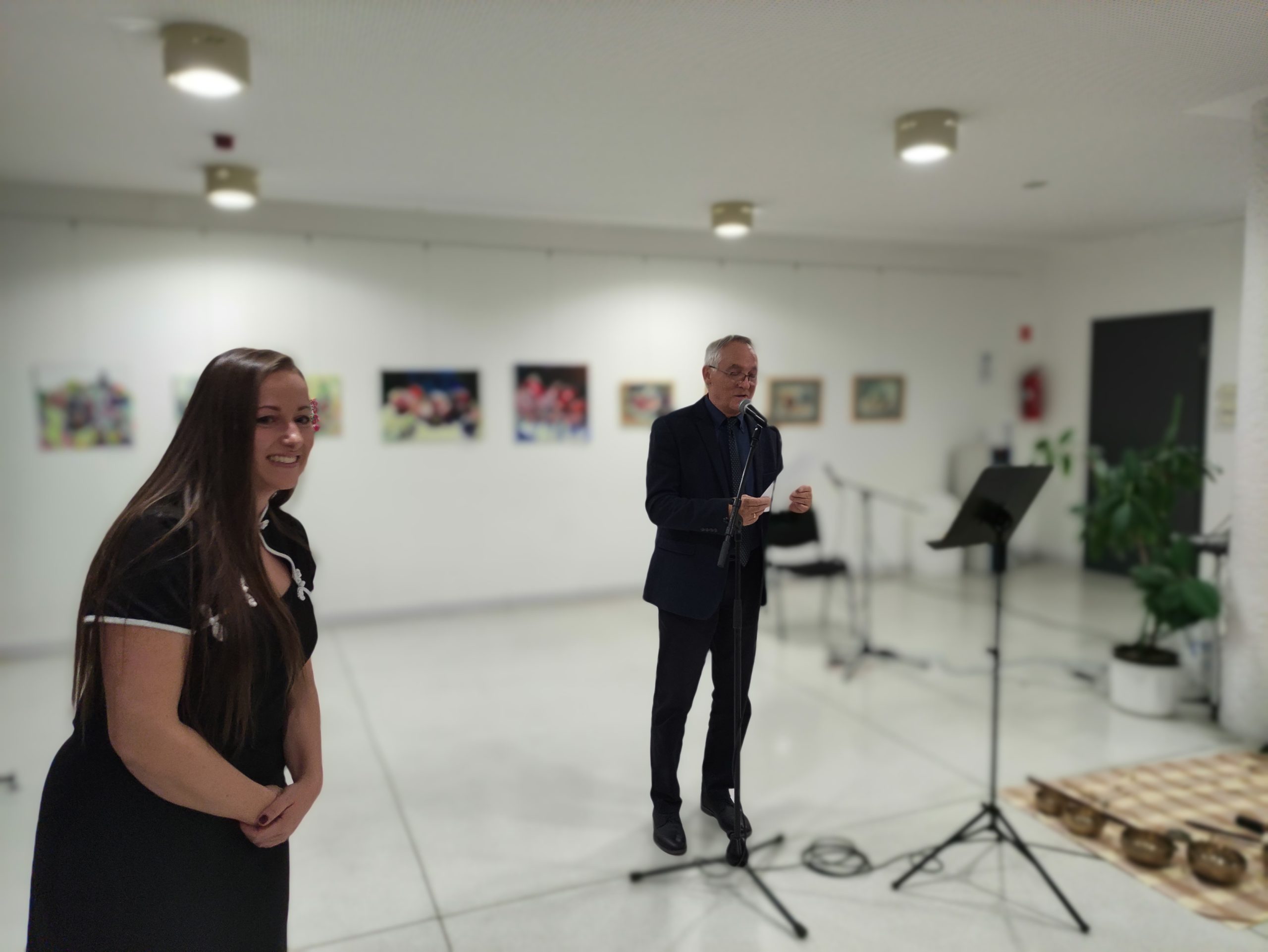 Kis-Gyöngyösi Ildikó tárlata (27)