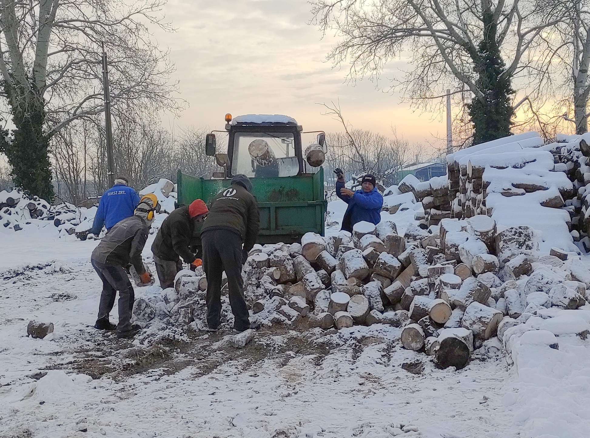 Sóshalom szociális tűzifa (1)