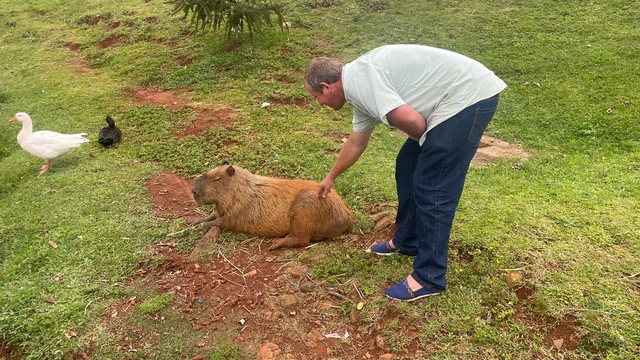 369e7212-b393-456f-92f9-681e3f853ee6