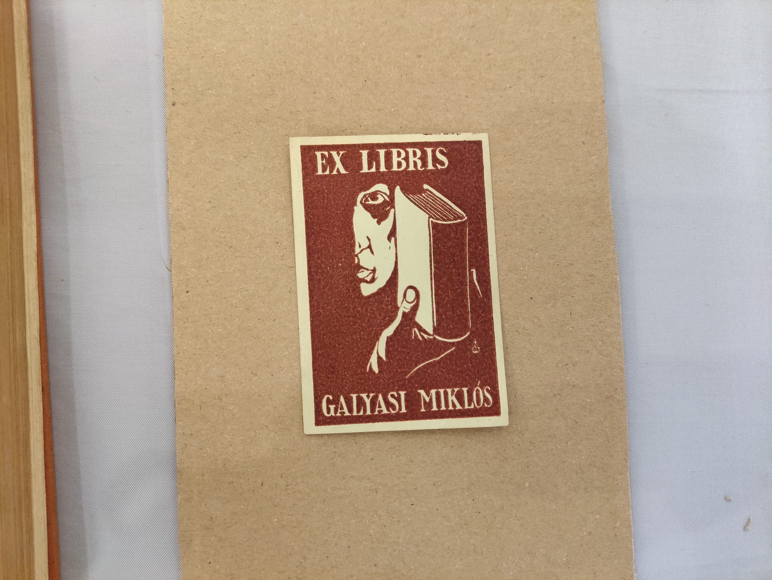 Galyasi kiállítás (12)