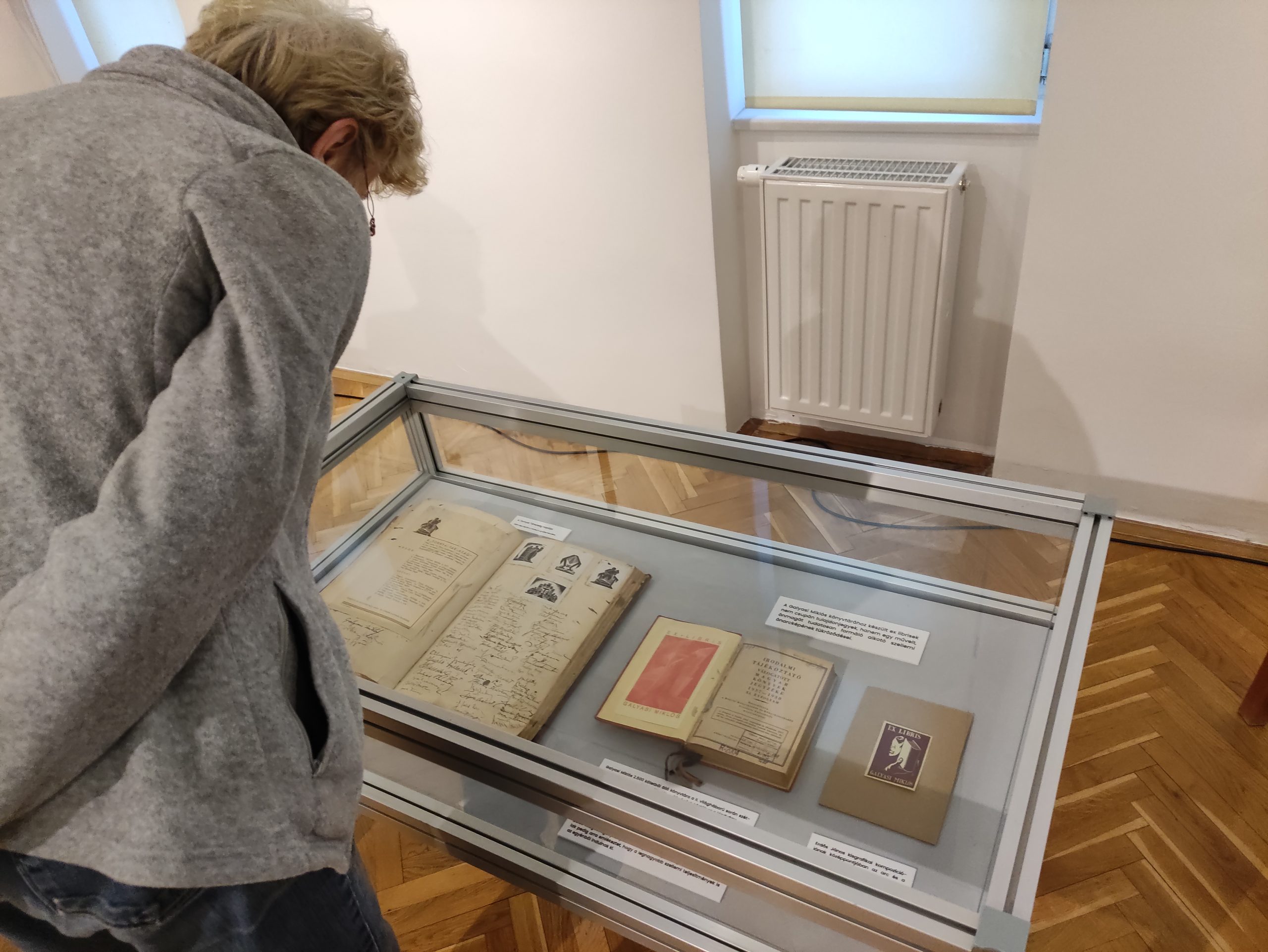 Galyasi kiállítás (5)