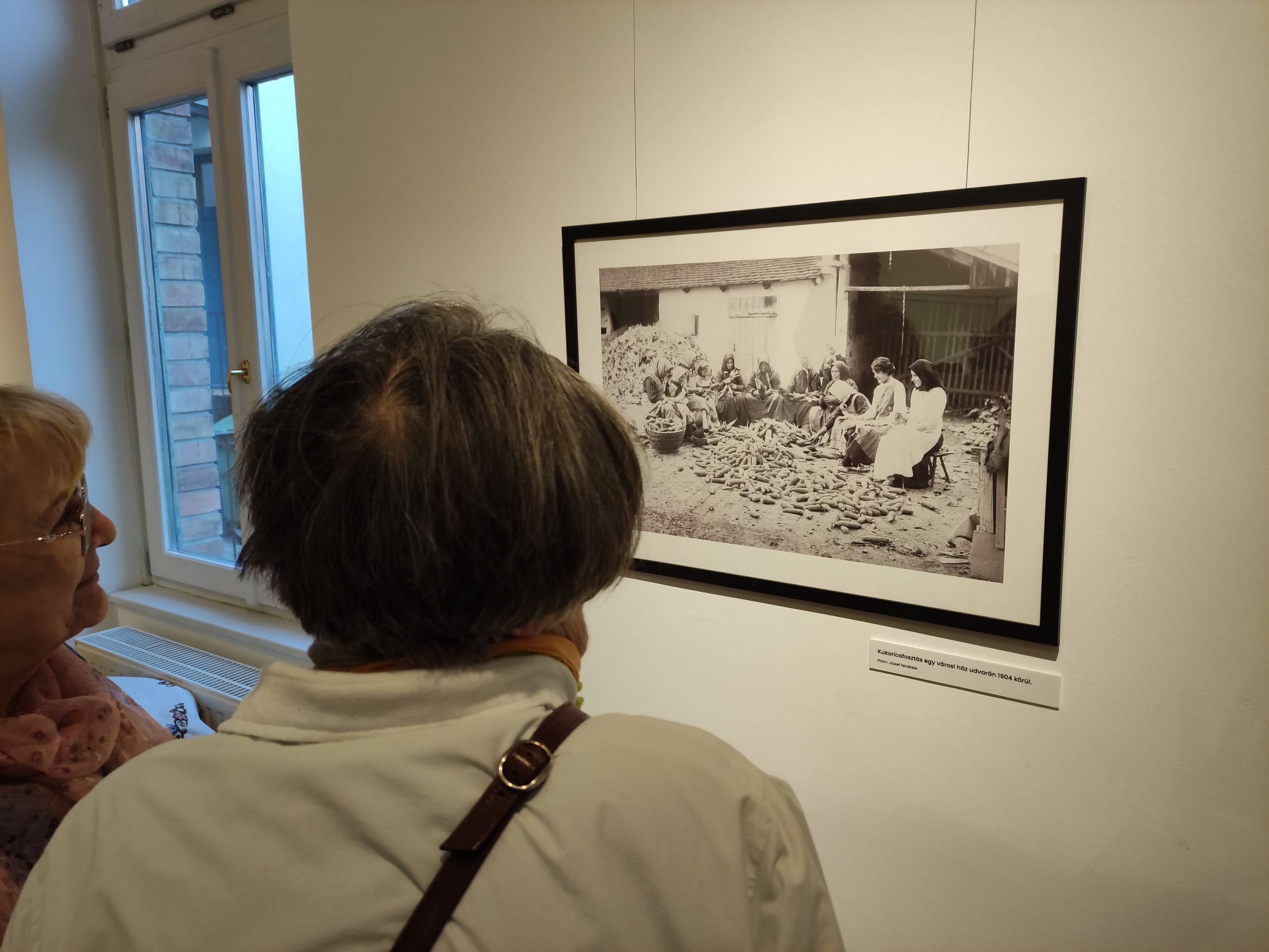 Galyasi kiállítás (8)