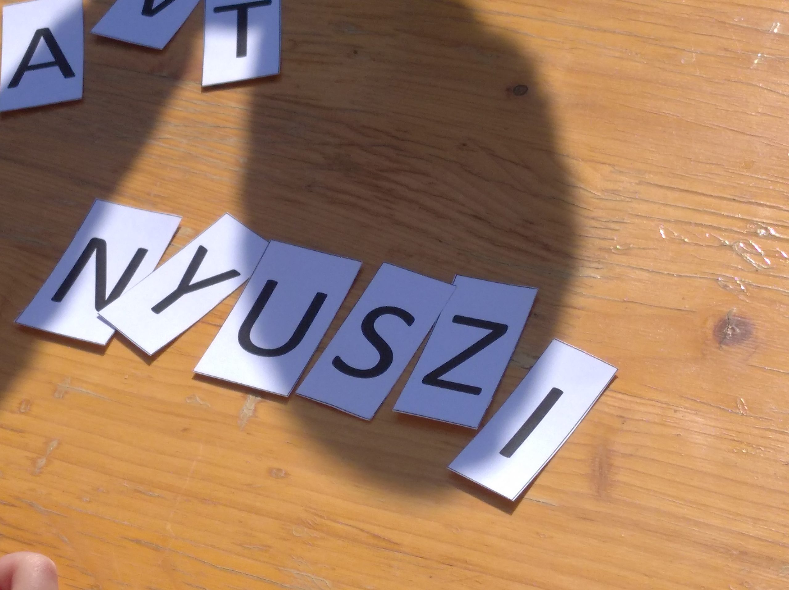 IMG_20260404_145608_1