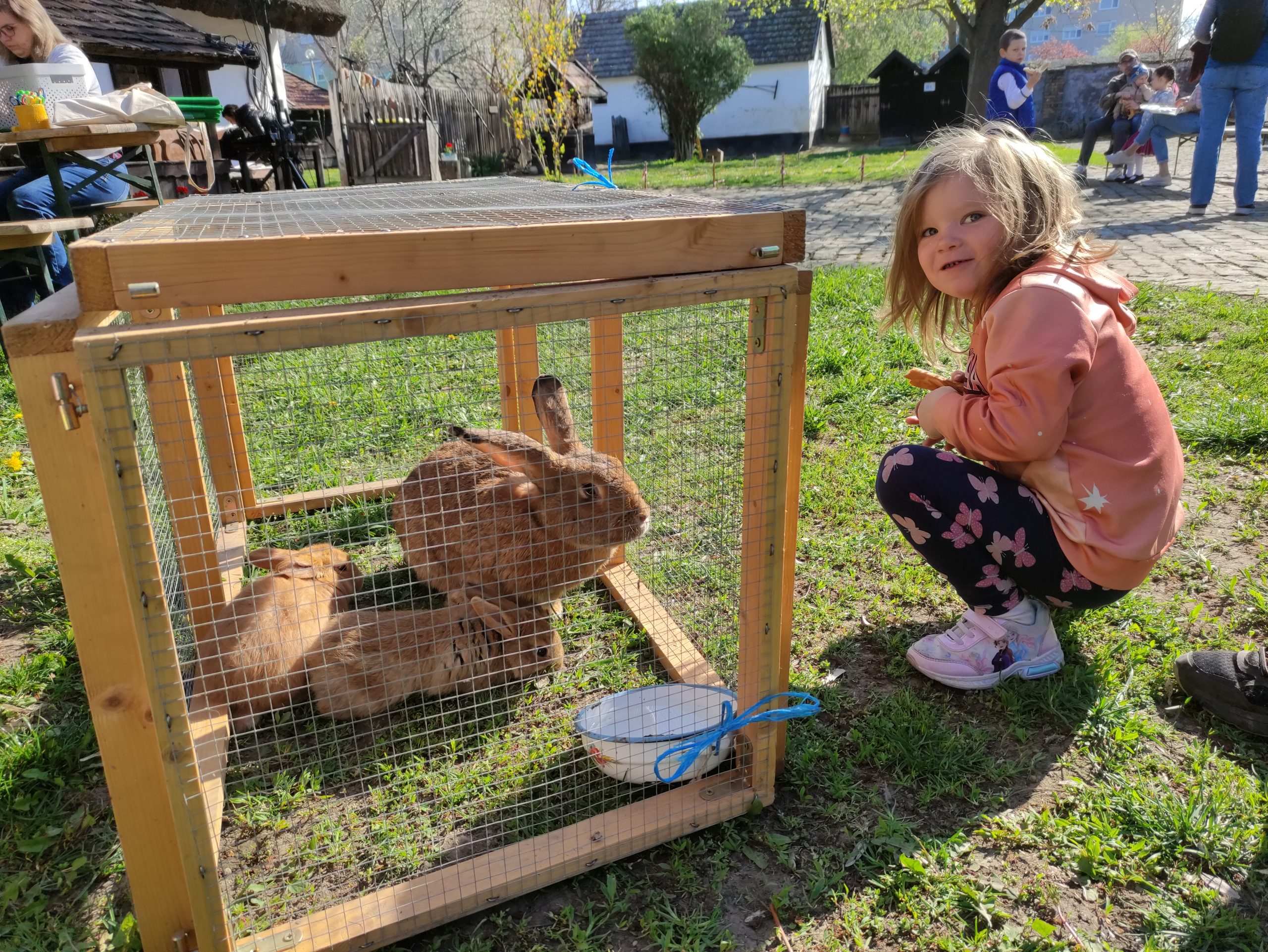 húsvétoló 2026 (1)