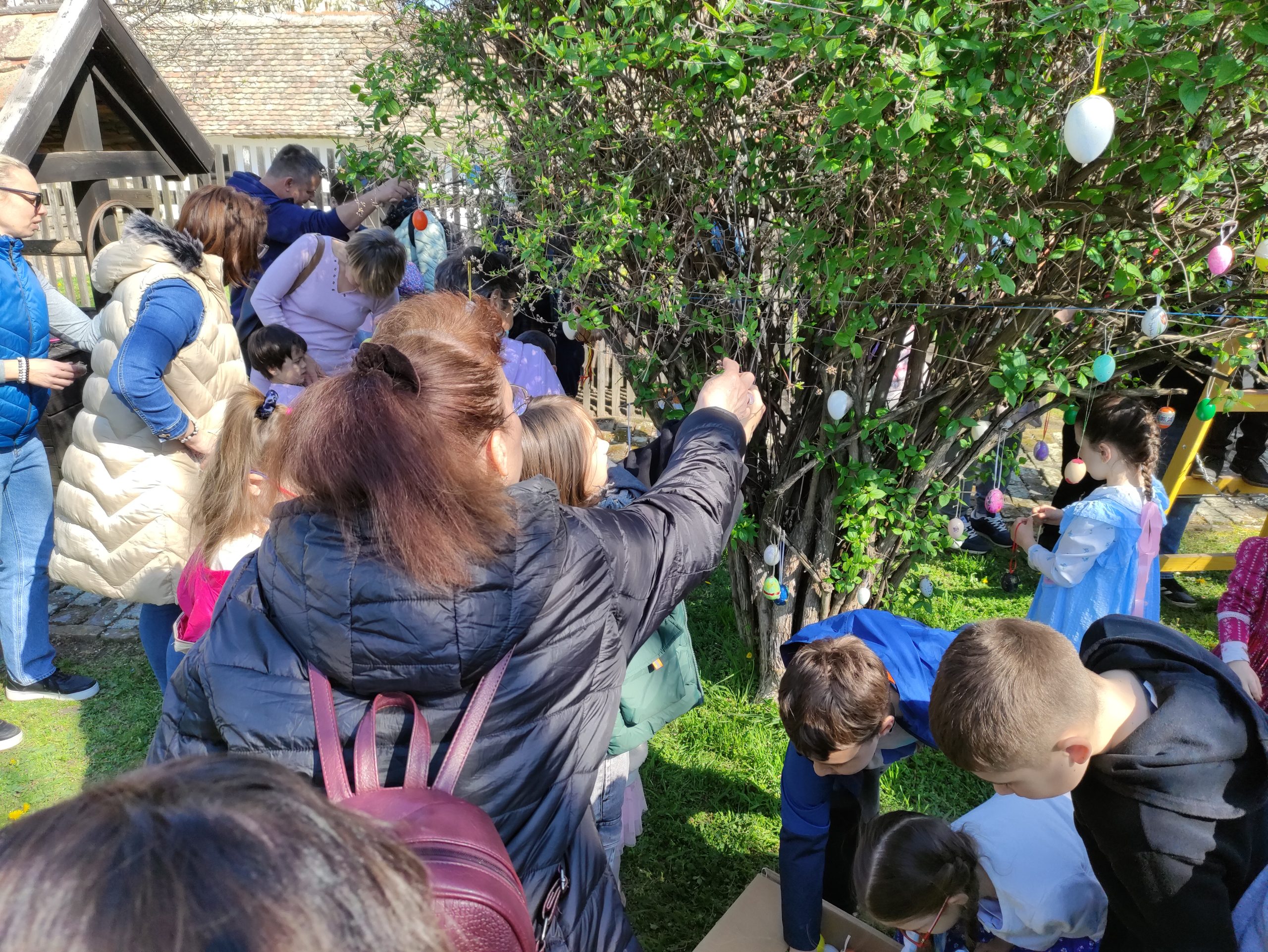 húsvétoló 2026 (16)