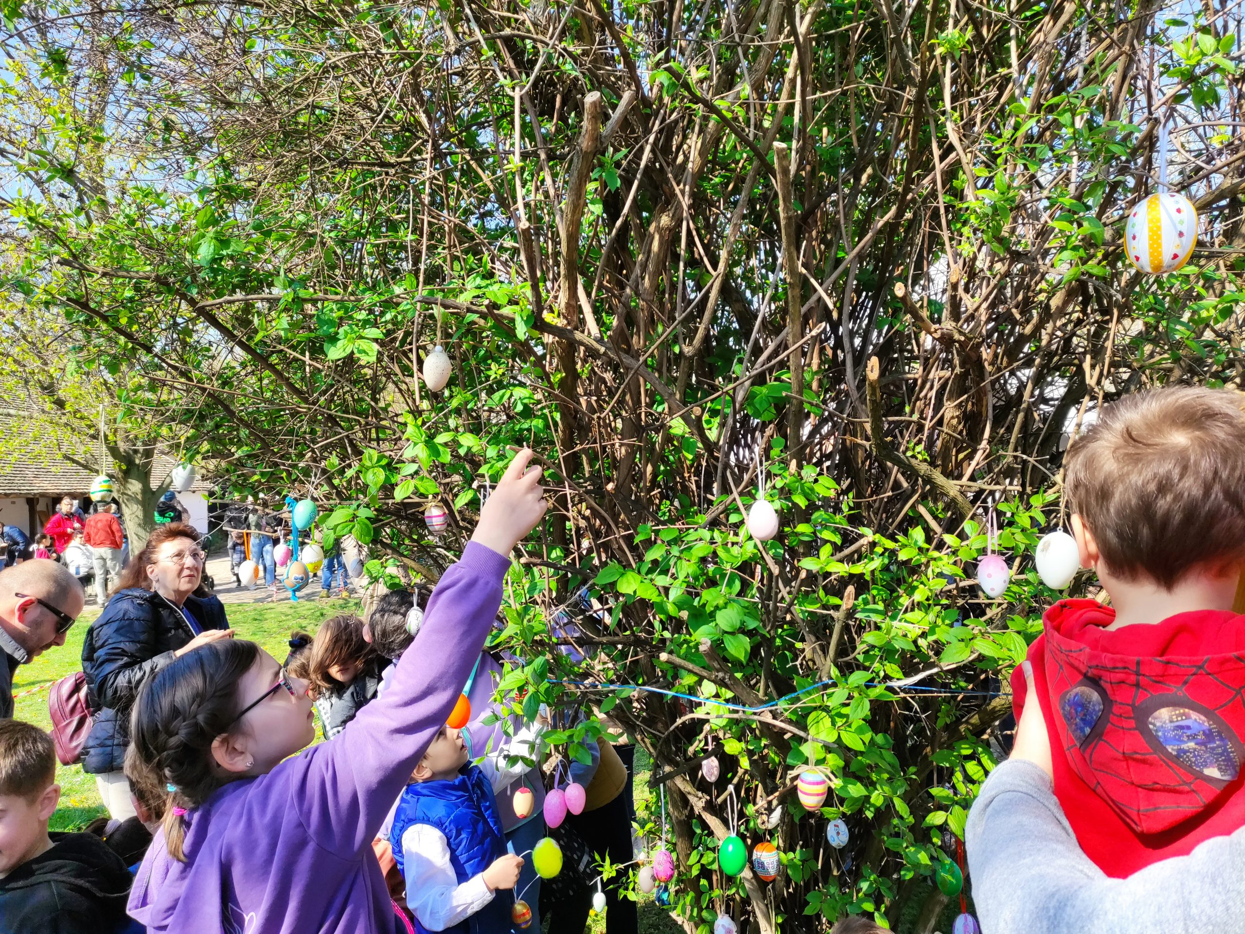 húsvétoló 2026 (22)