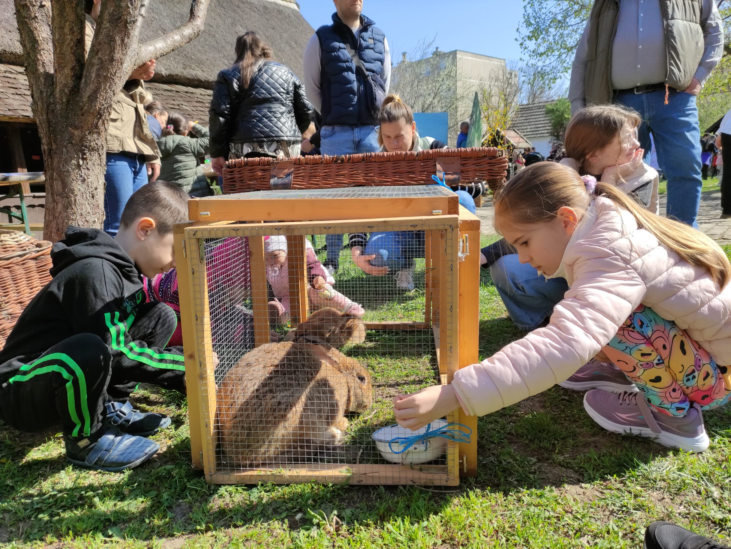 húsvétoló 2026 (29)