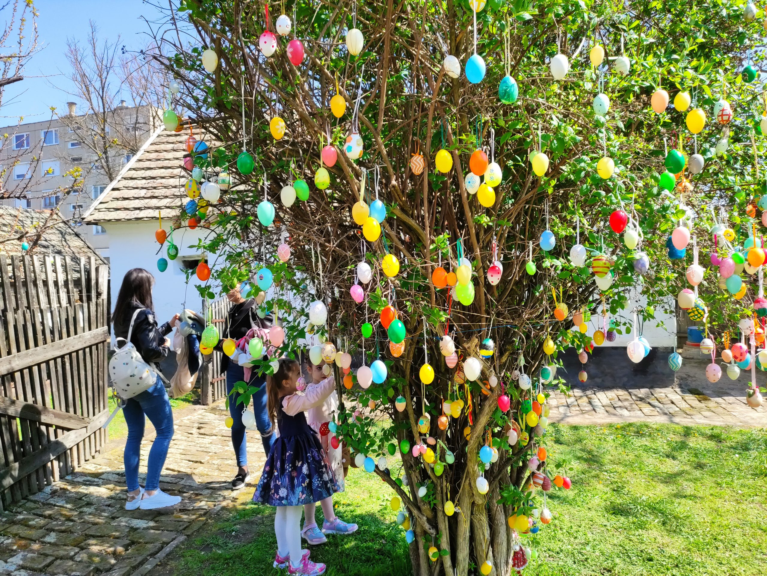 húsvétoló 2026 (59)