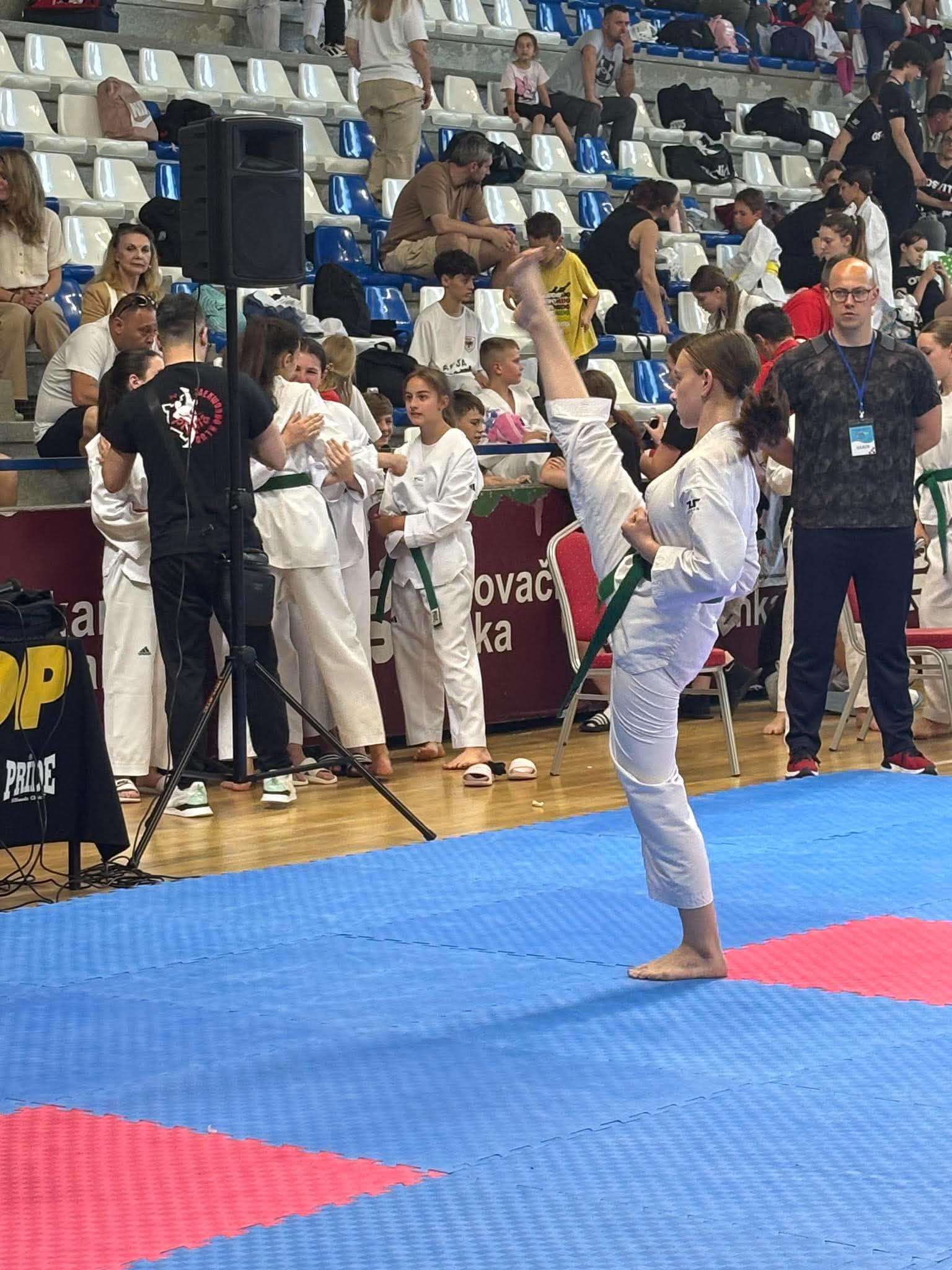 Máté Taekwondo Horvátország 10