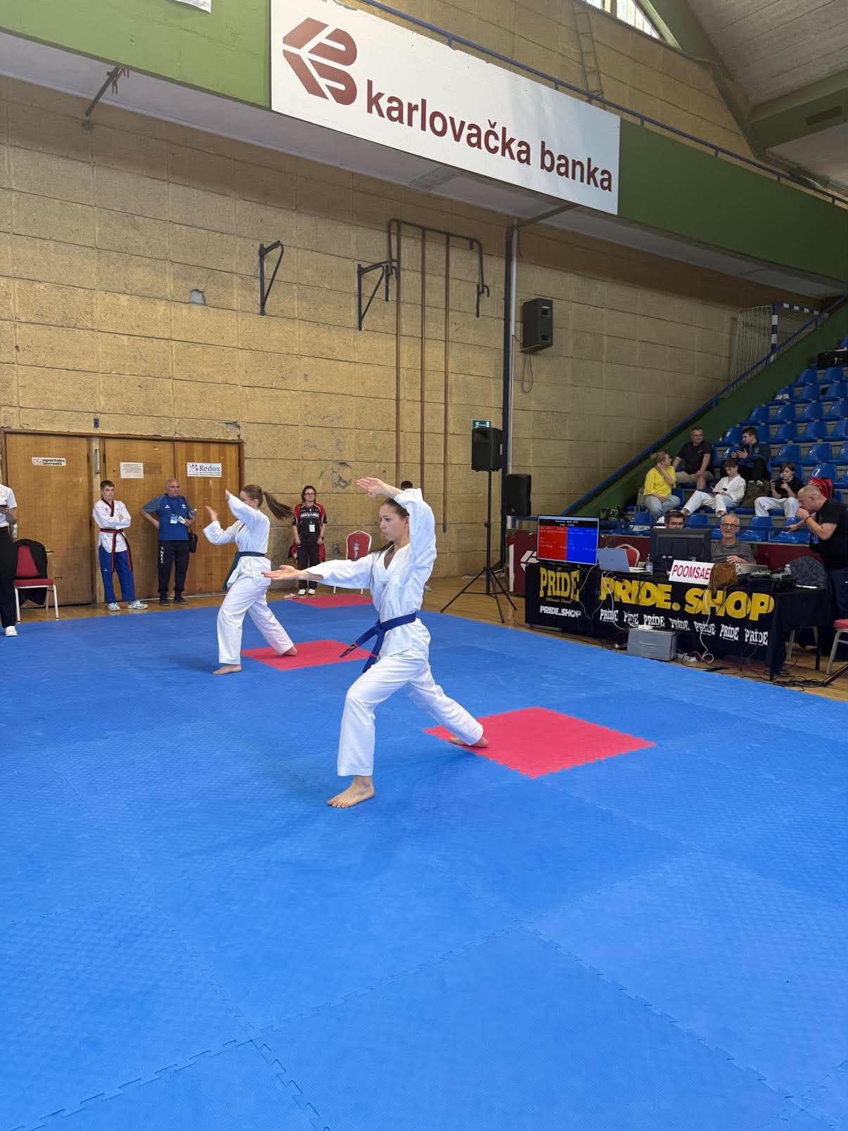 Máté Taekwondo Horvátország 9