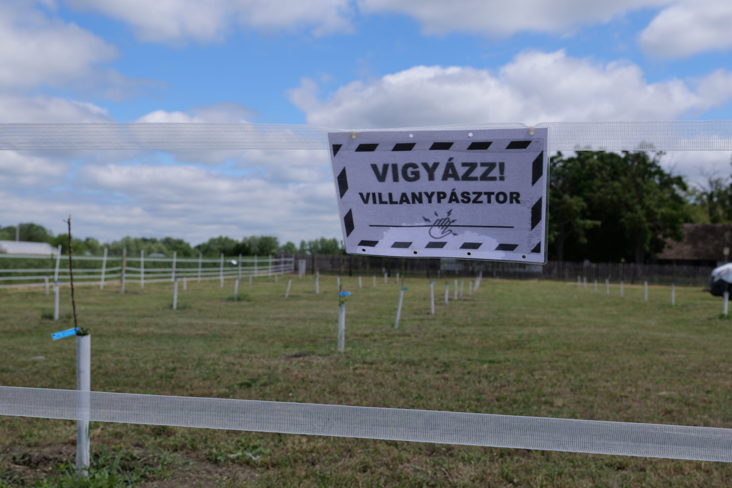 Pádár kopáncsi Tanyamúzeum (5)