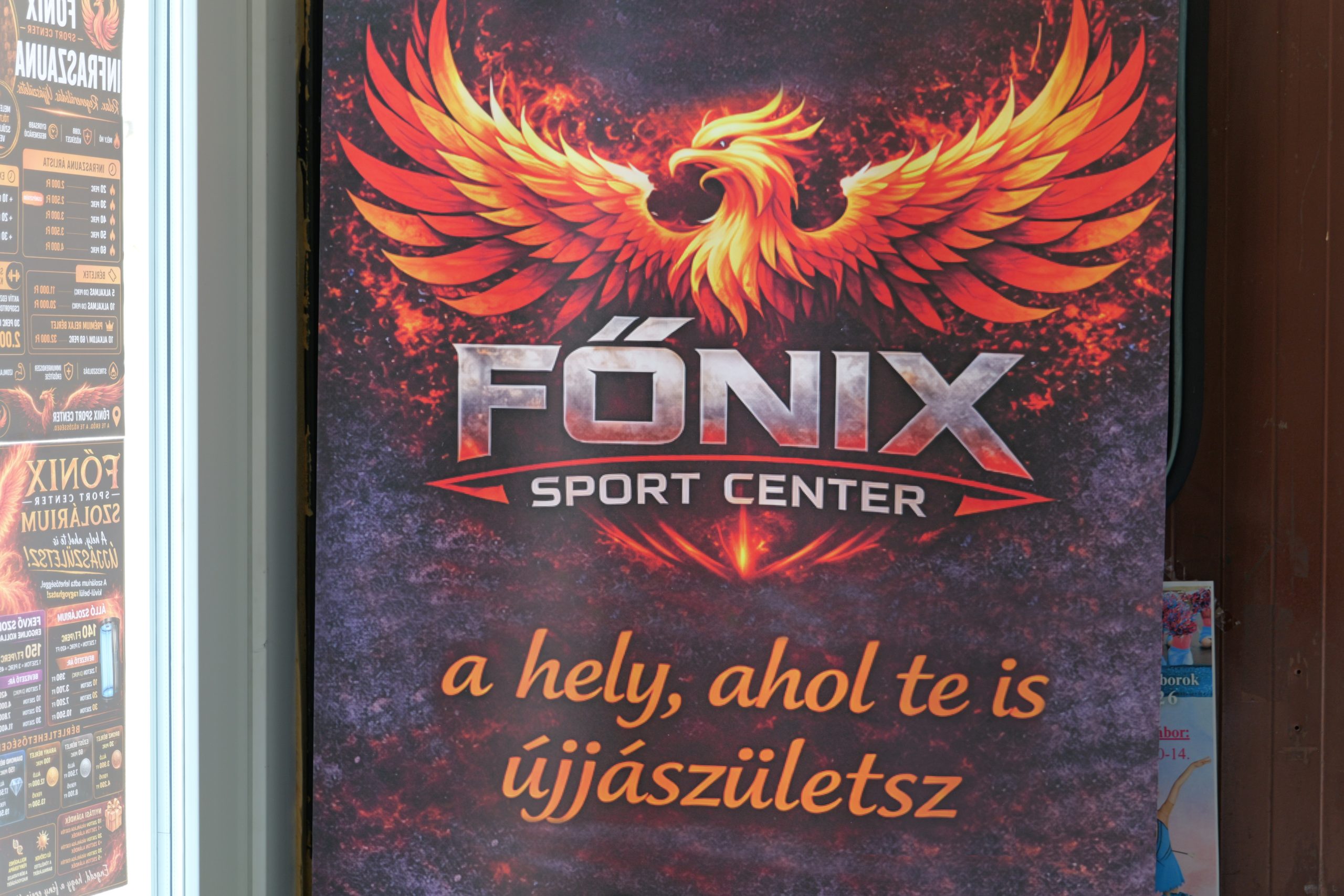 Főnix Sport Center családi nap (45)