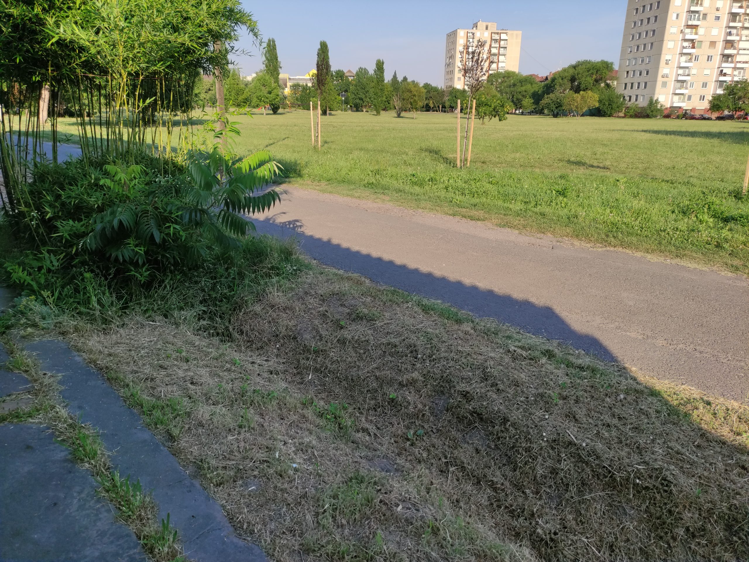 fűnyírás (2)