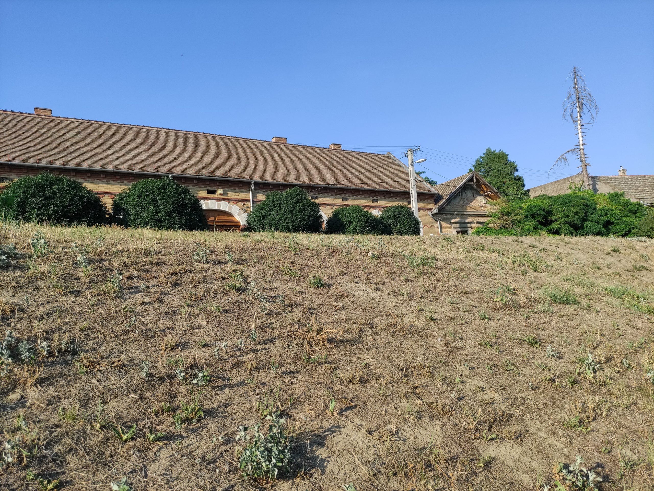 fűnyírás (5)
