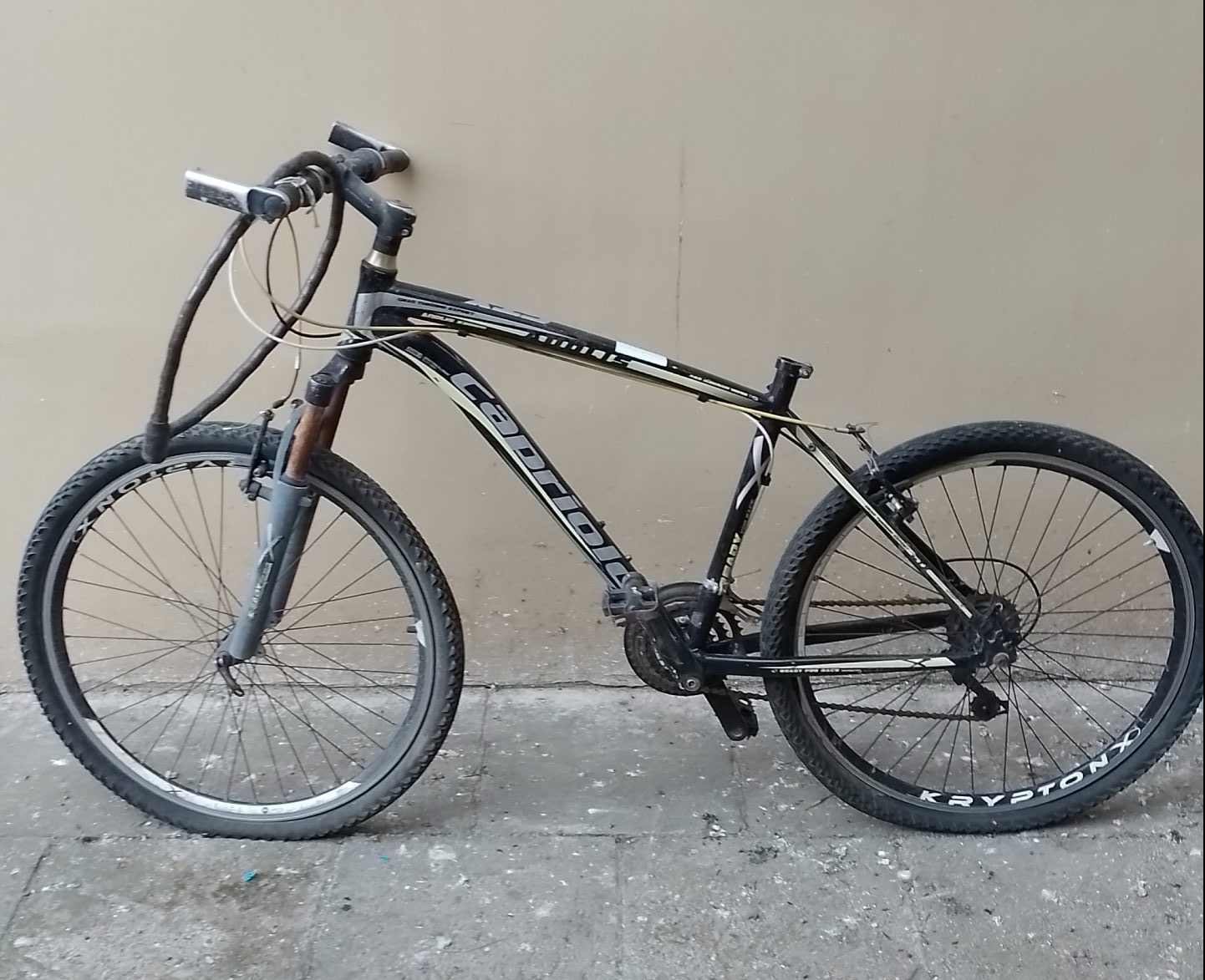 160. Capriolo GTX