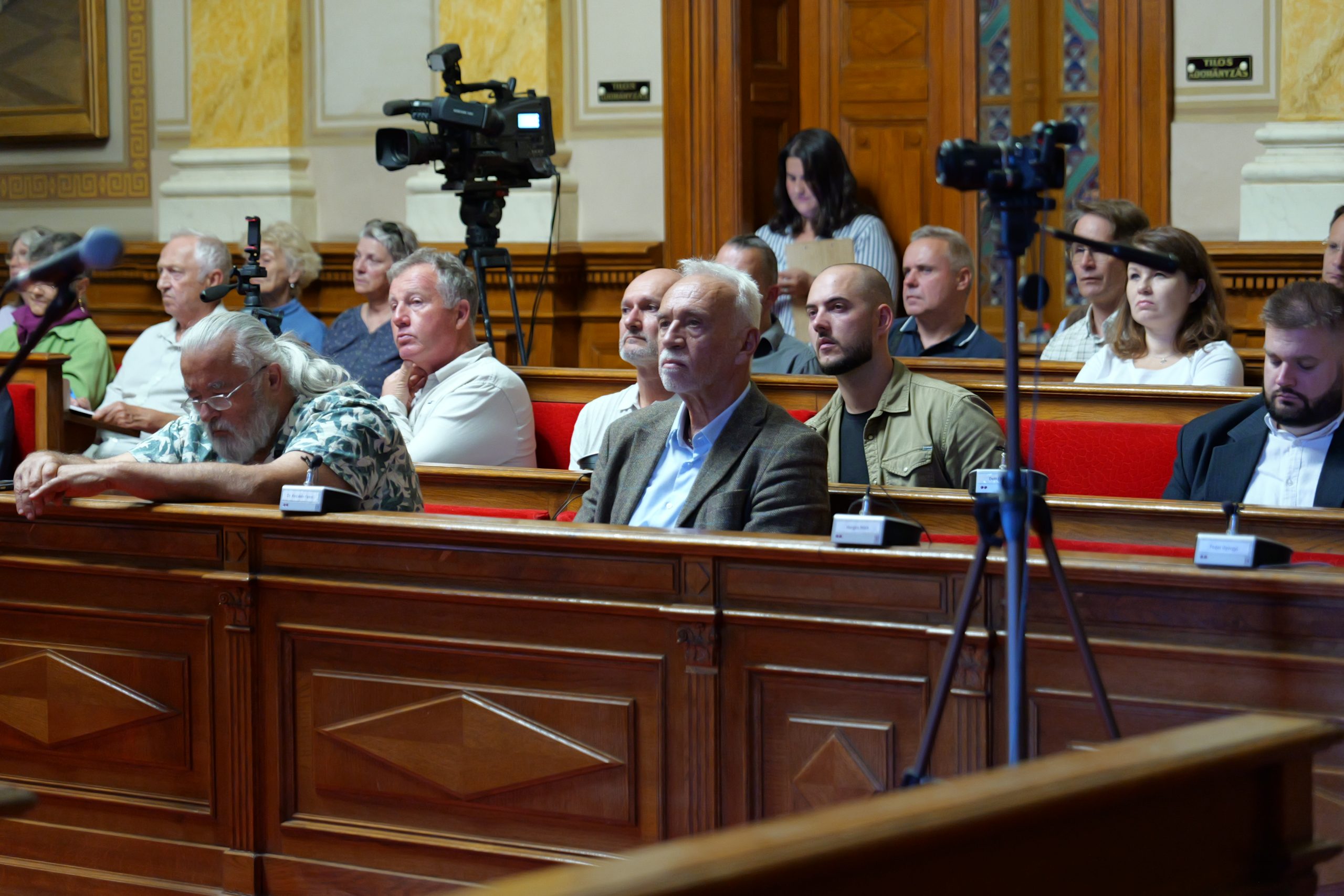 aszalyforum (13)